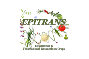Logo epitrans