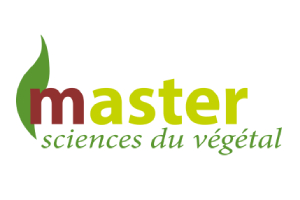 Logo master