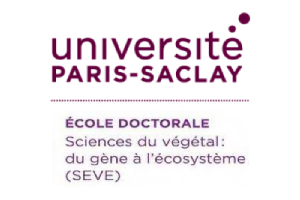 Logo école doctorale